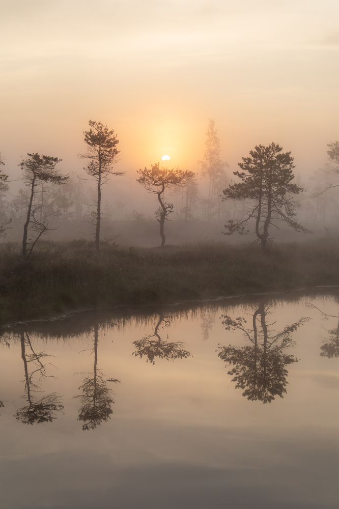 Photograph by Anton Gavrilov