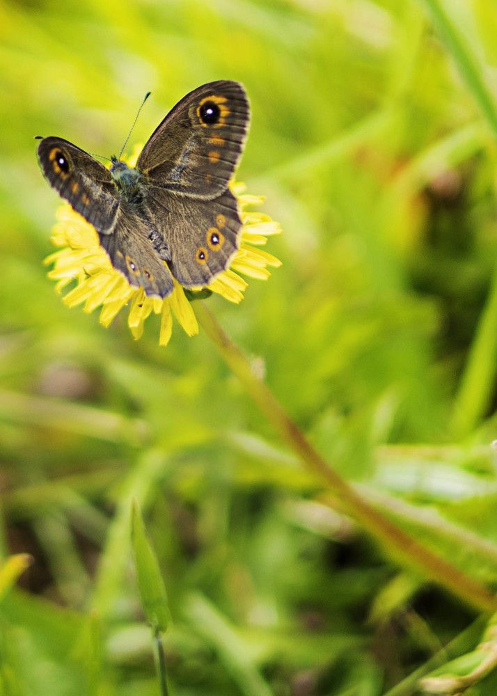 Photograph by Maria Zhdanova