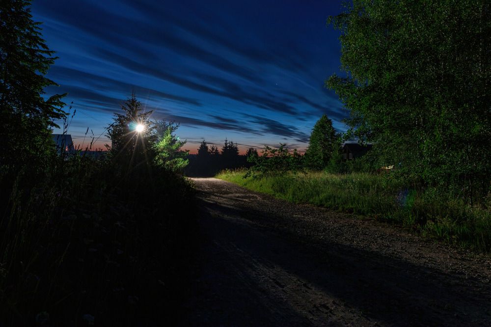 Photograph by Алексей Чеботарев