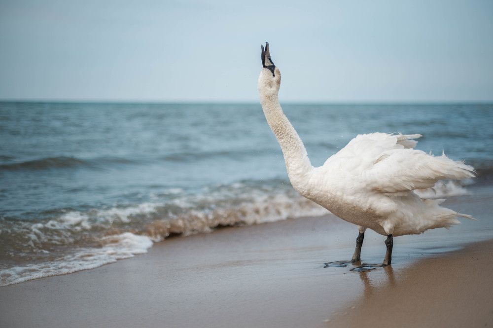 Photograph by Анастасия Жучкова