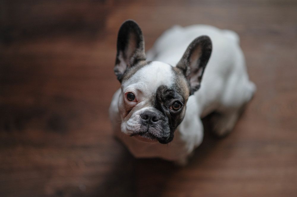 Photograph by Анастасия Жучкова