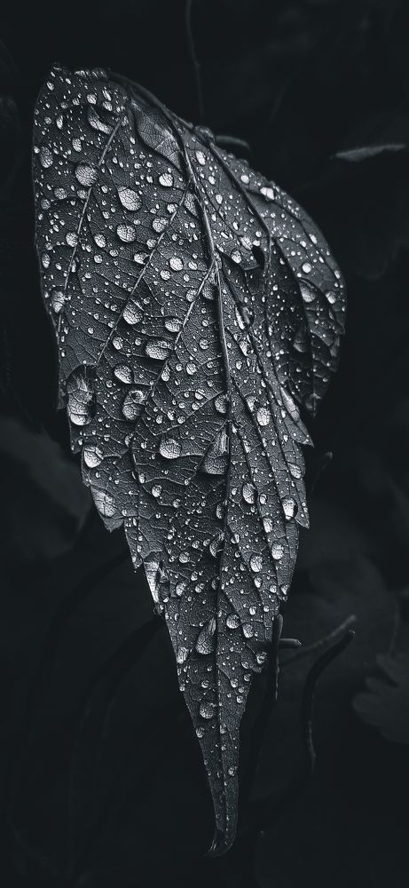 Photograph by Кристина Полякова