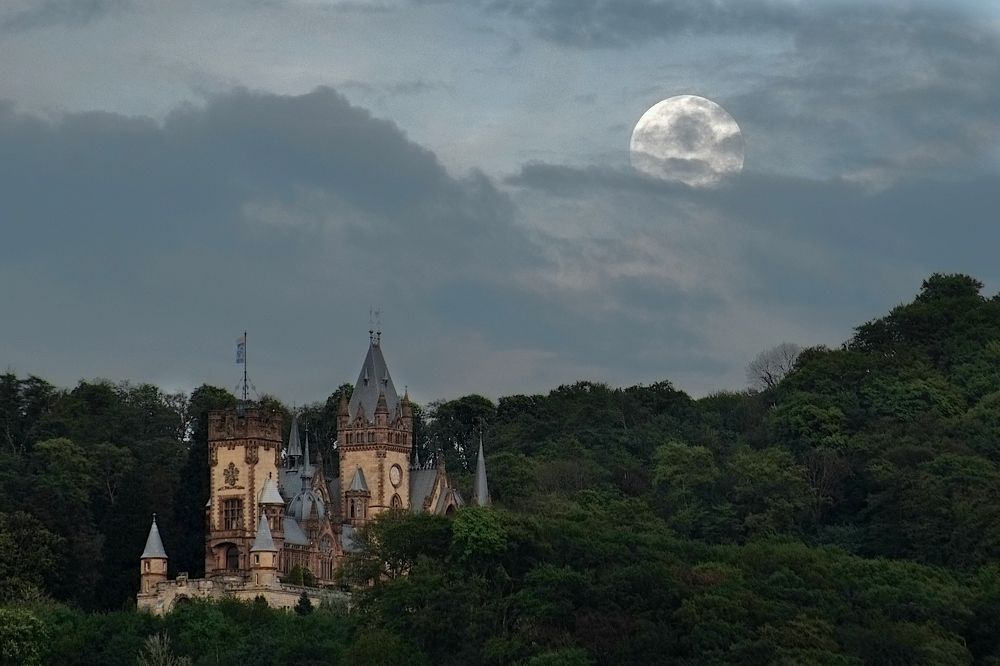 Photograph by Ketov Vladimir