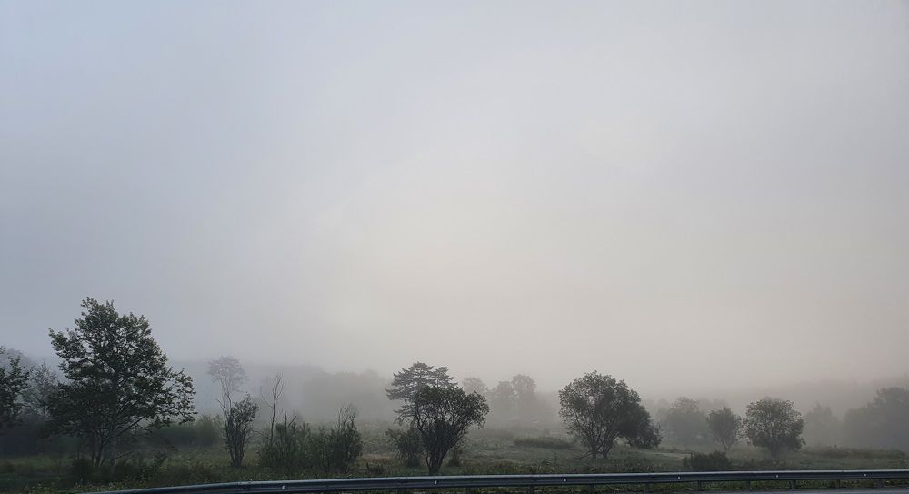 Photograph by Жанна Регор