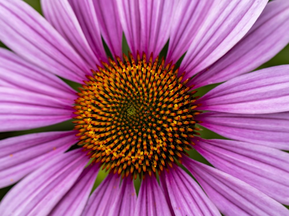 Photograph by Ирина Серегина