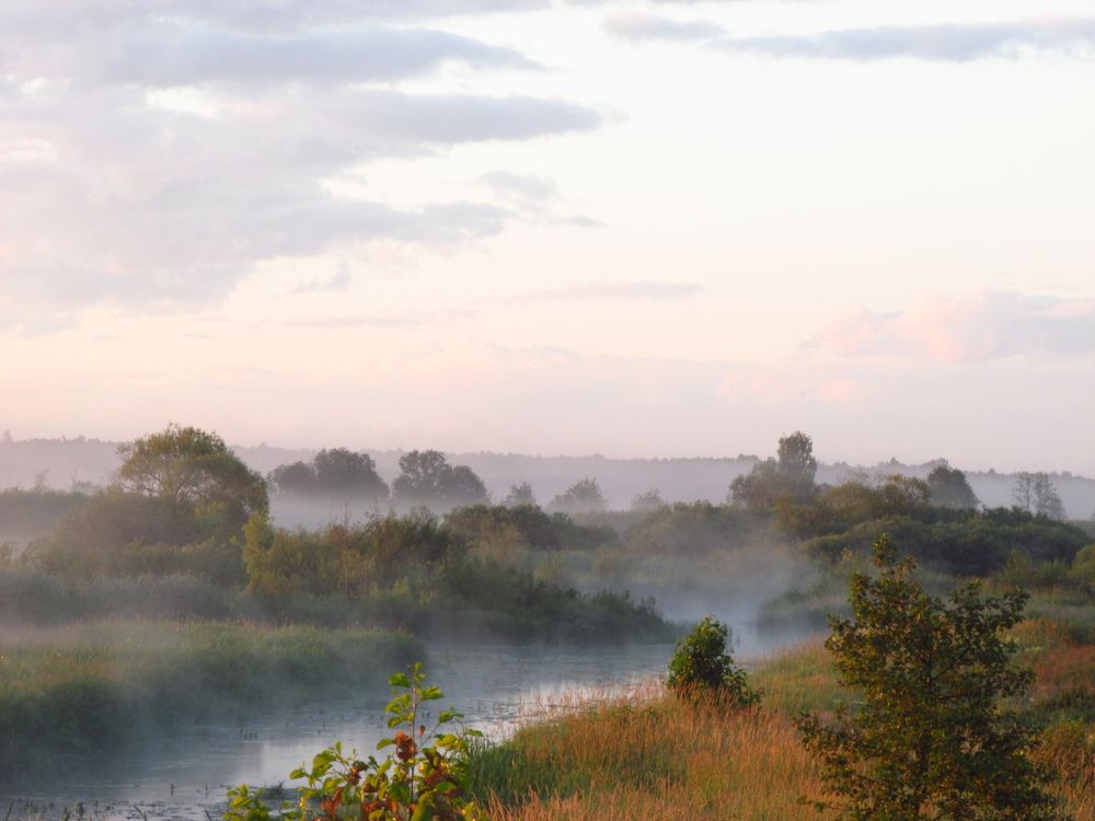 Photo #9306342