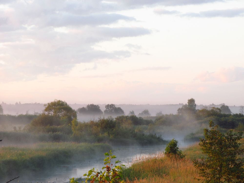 Photo #9306345
