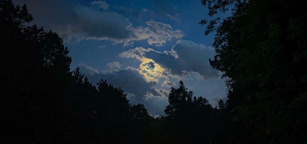 Photograph by Maxim Komissarov