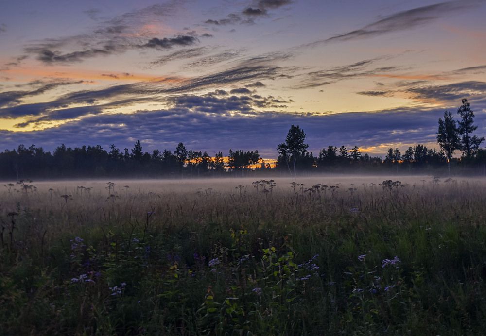 Очарование тумана