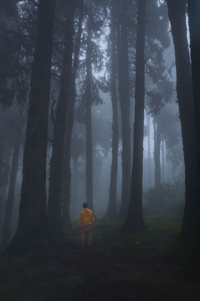 Photograph by Debartha Saha