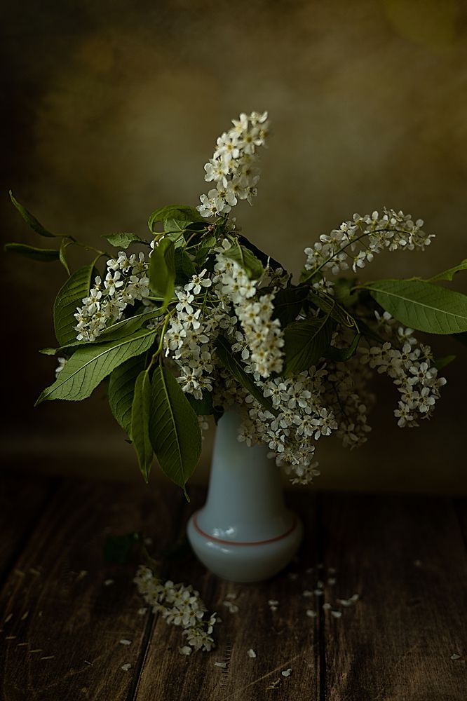 Photograph by Жанна