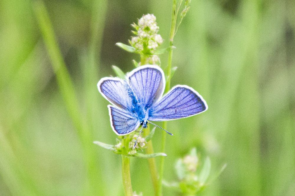 Photograph by Алексей Борисов