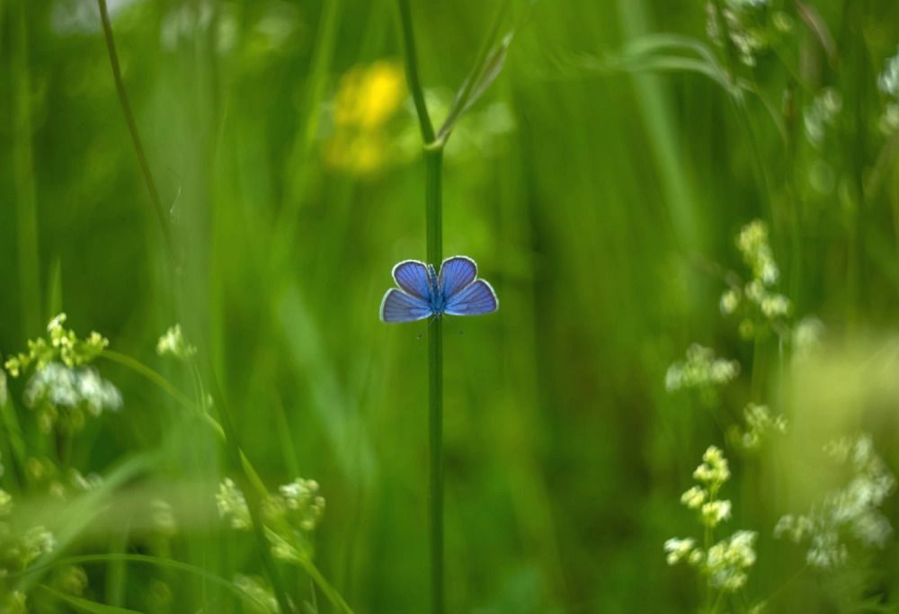 Photograph by Елена Хорохорина