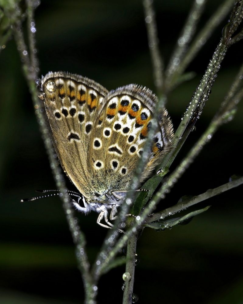 Photograph by Дмитрий Кузнецов