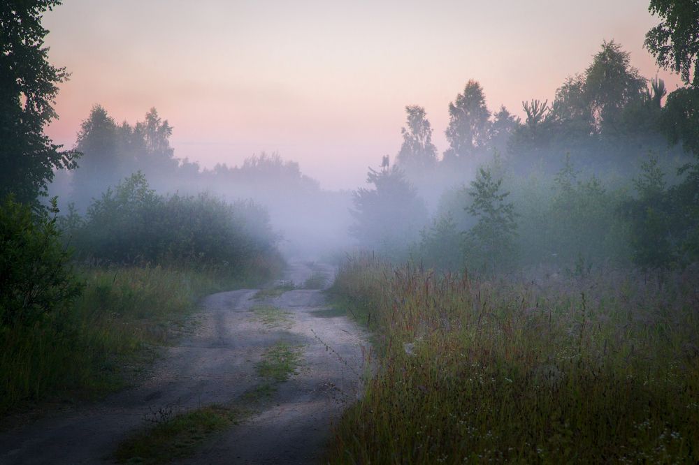 Photograph by Дмитрий Черепков