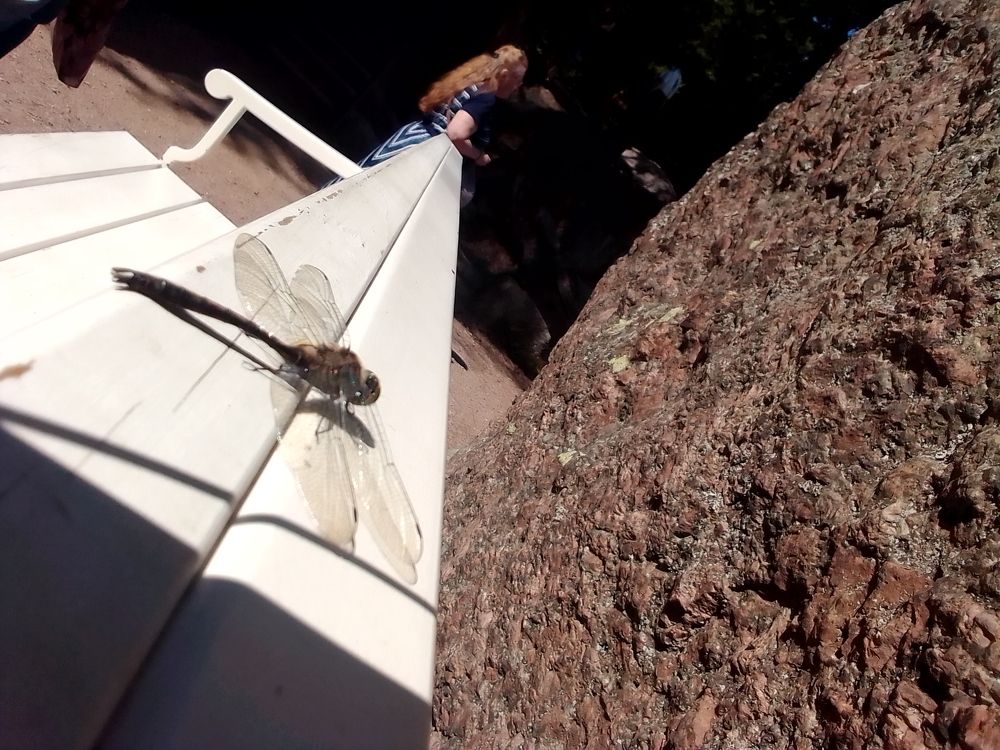 Photograph by Irina Mihailovskaya