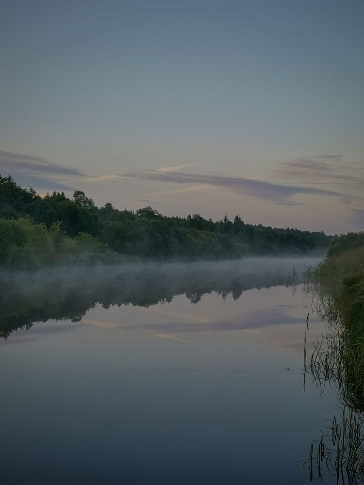 Туманное утро