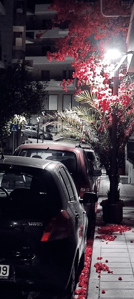 Photograph by Dimitris Pap.