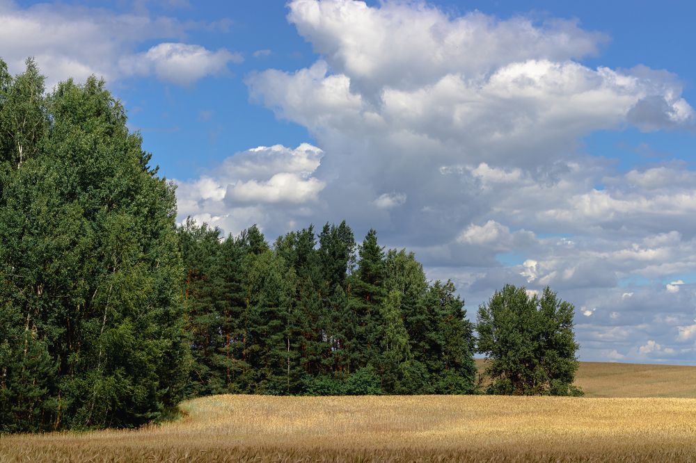 В середине лета