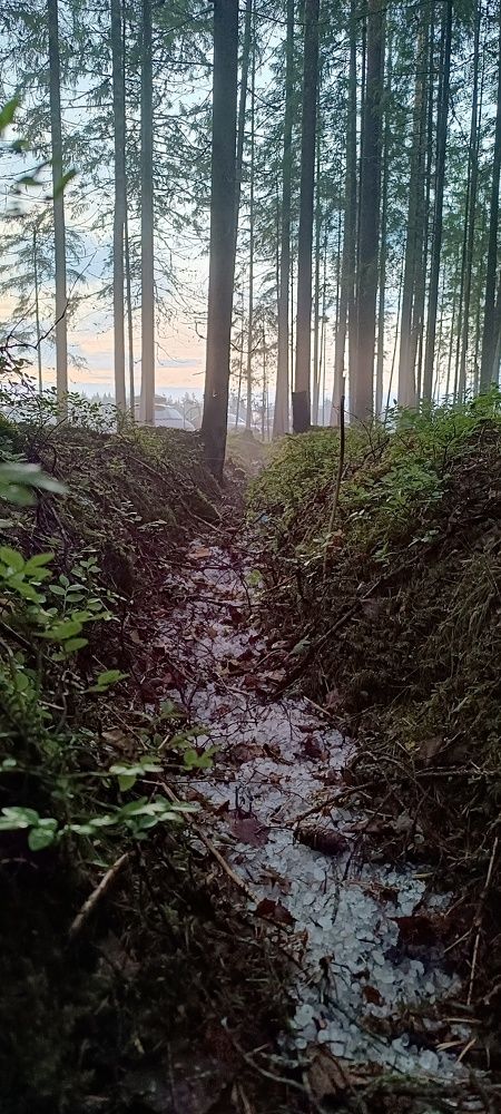 Photo #9306881