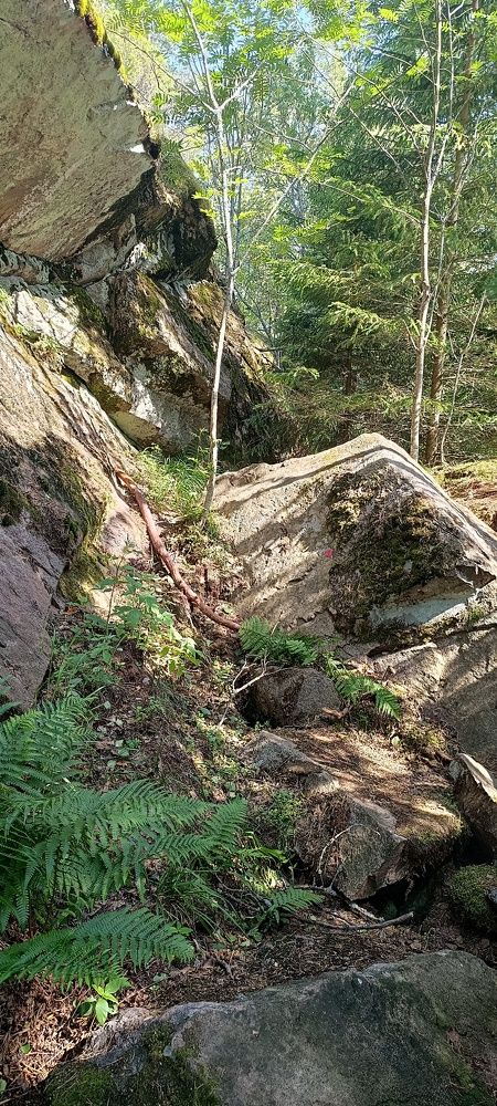 Photograph by Анна Андреевна
