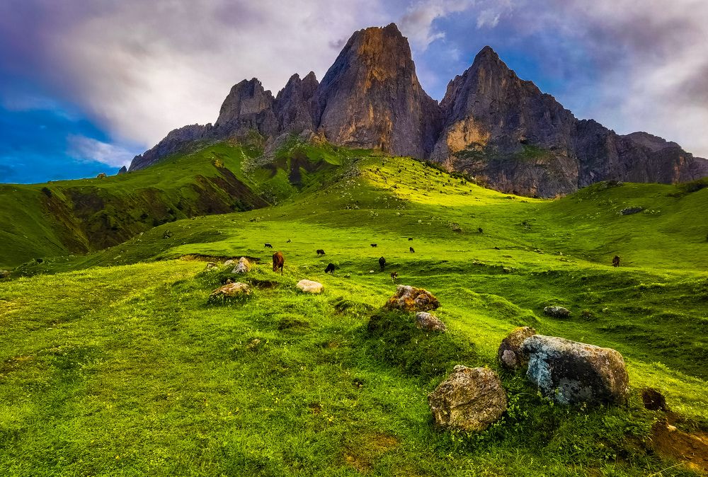 Photograph by Владимир Орлов