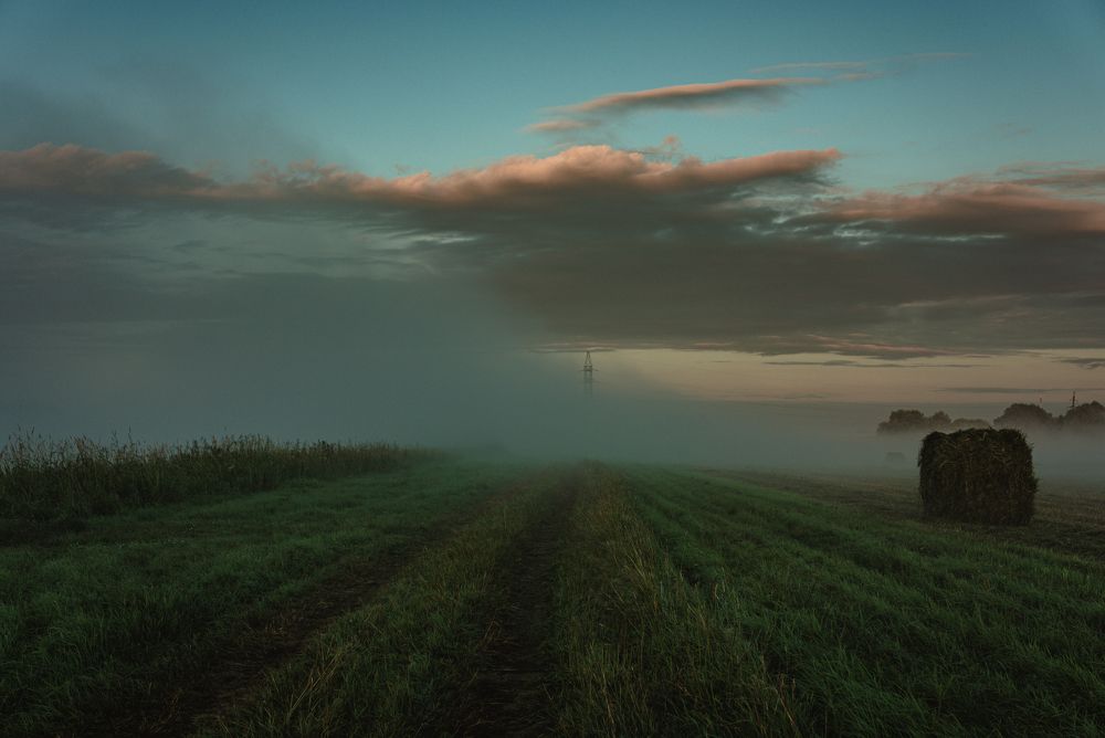 Photograph by Vitaly Zubkov