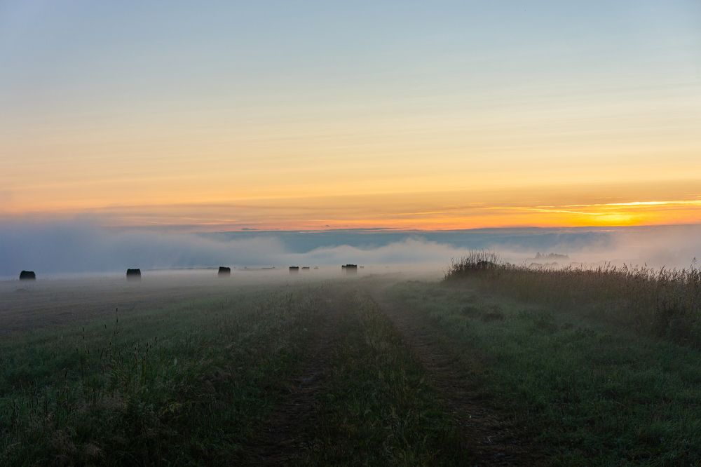 Photograph by Vitaly Zubkov