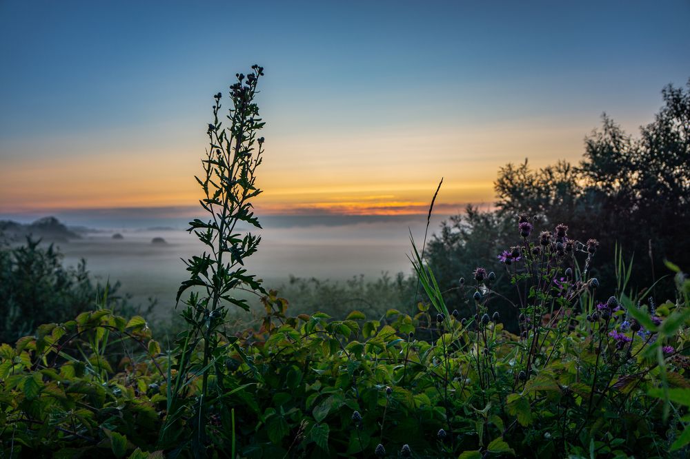 Photograph by Vitaly Zubkov