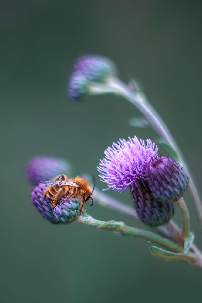 Photograph by Александр Соловьев