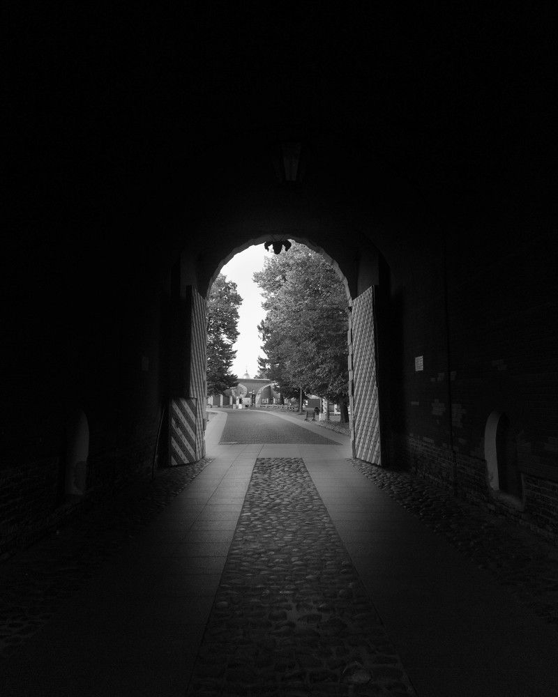 Photograph by Алексей Власов