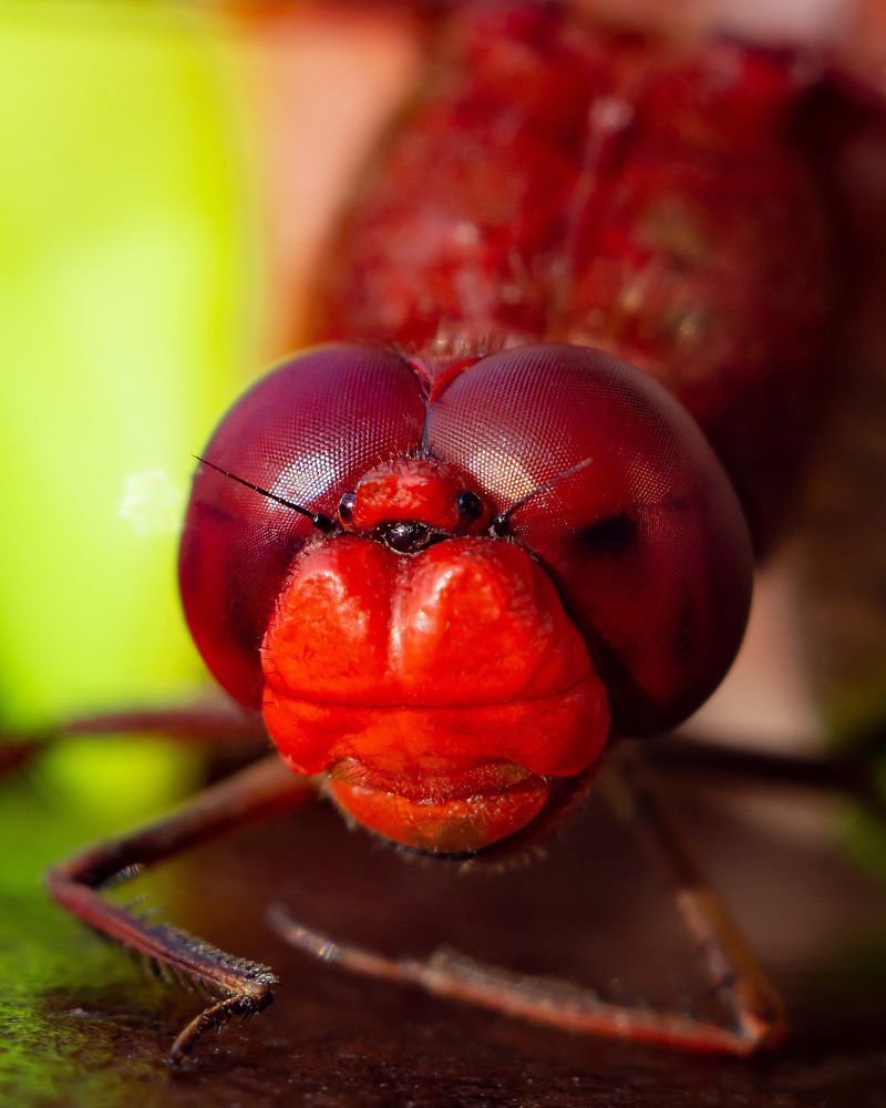 Photograph by Константин Петров