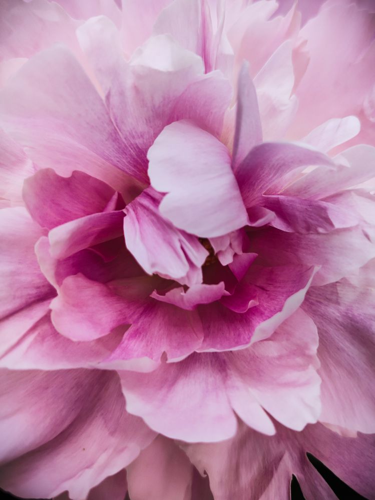 Photograph by Аксиния Михеева