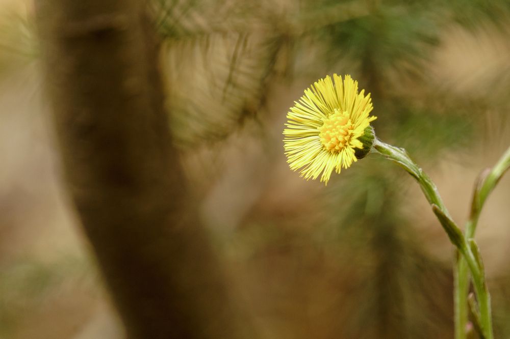 Photograph by Дарий Остахов