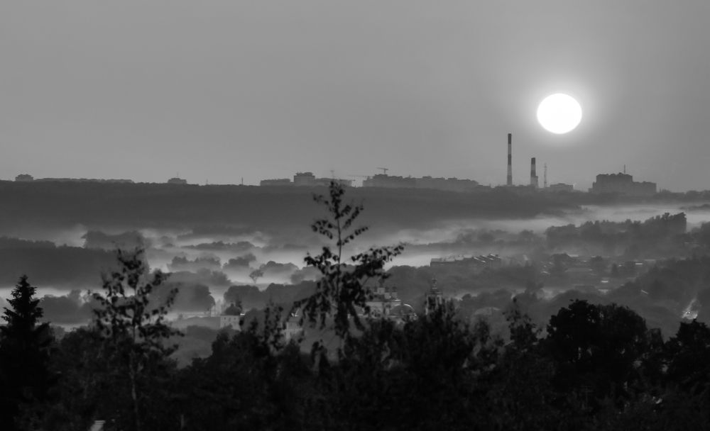 Photograph by Светлана Карнаух