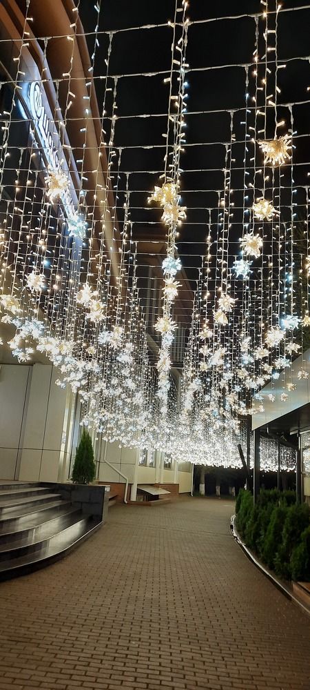 Photograph by Елена