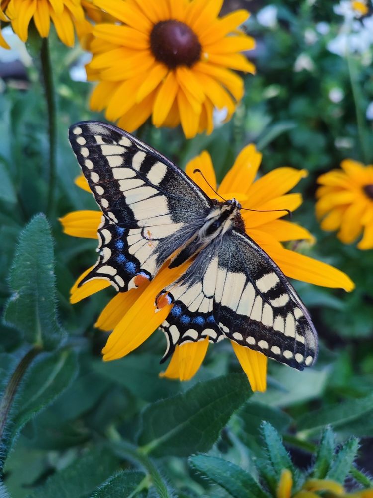 Photograph by Юлия Гинтер