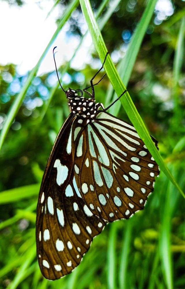 Photograph by Mathew Nishanth A