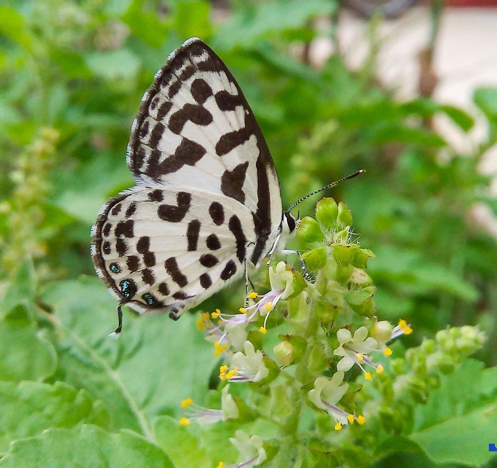 Фотография автора Tonmoy Maity