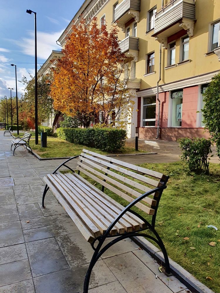 Цвета города