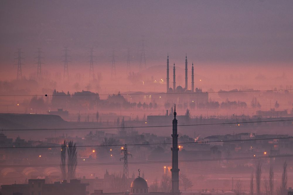 Photograph by Seif Eddine Alaa