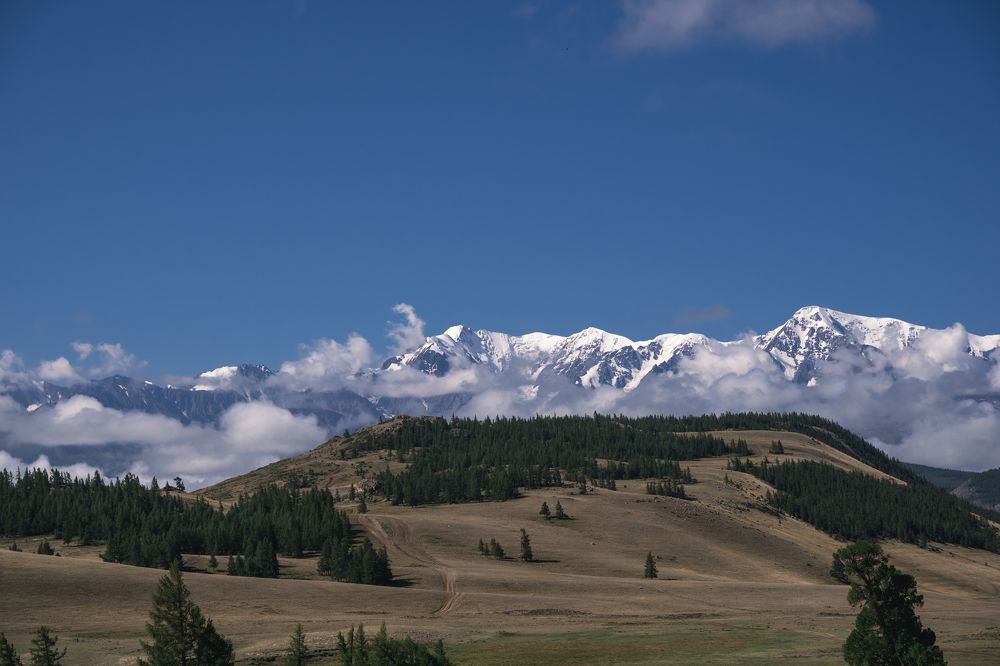 Снежные вершины