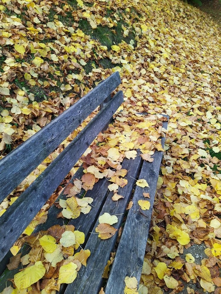 Фотография автора Inna Osminina