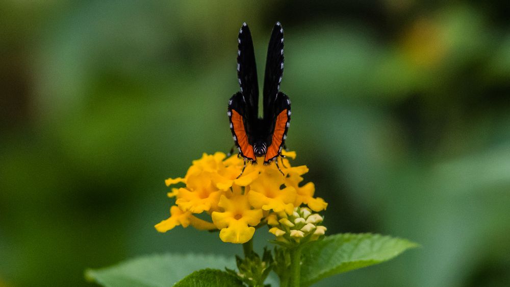 Photograph by Sanjay Danait