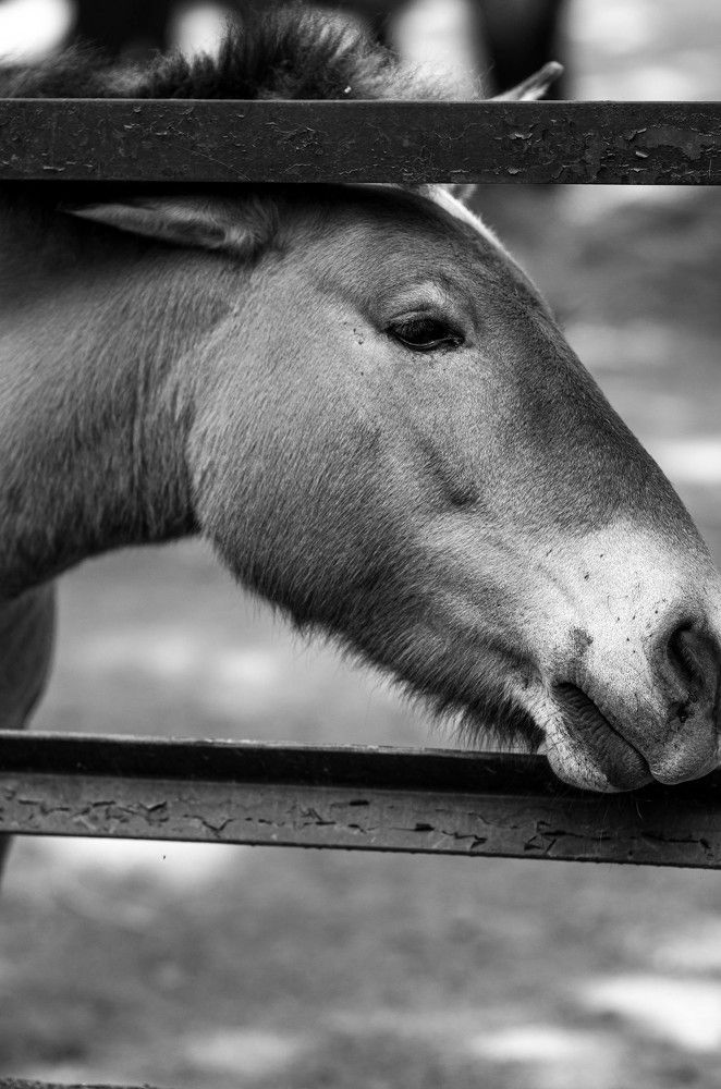 Фотография автора Владимир Брызгунов