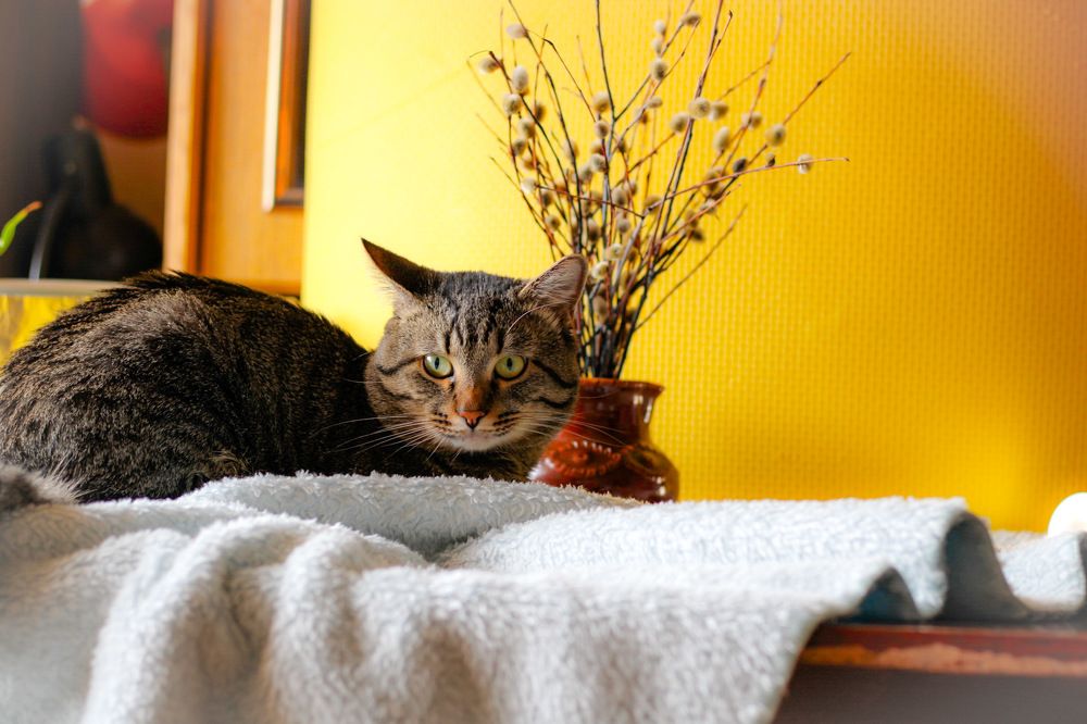 Photograph by Ekaterina Khuzhaeva