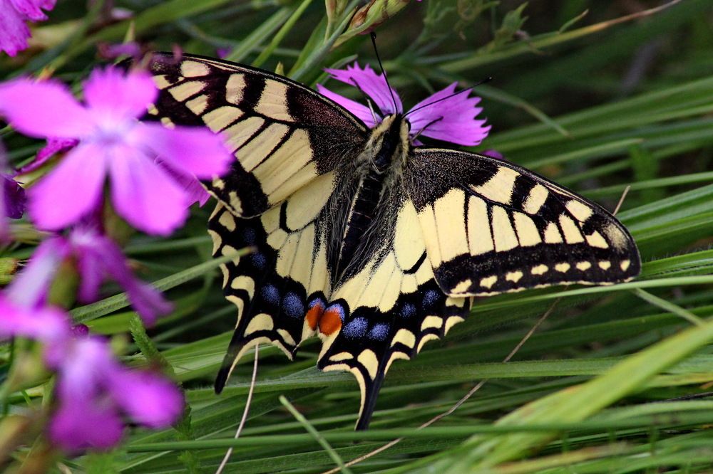 Photograph by Николай Николаевич Леухин