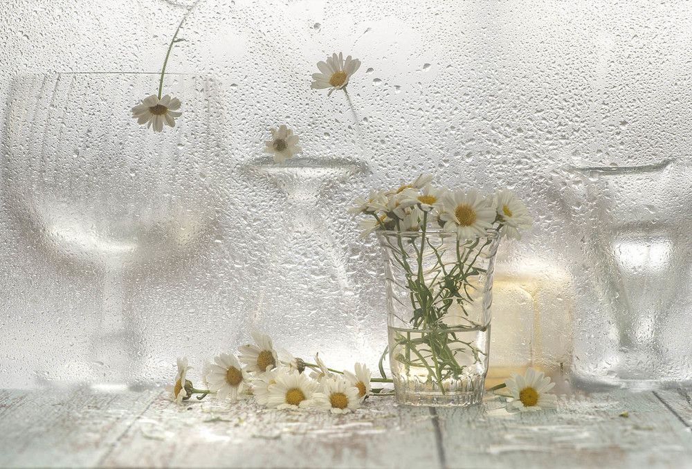 Photograph by Виктория Солодар