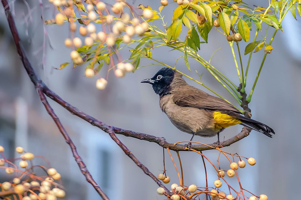 Photograph by Марина Ческис