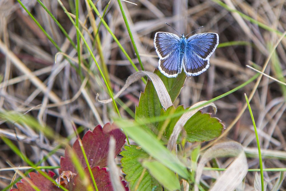 Фотография автора Каргин Валерий
